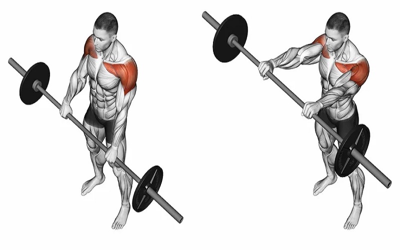 Barbell Front Raise