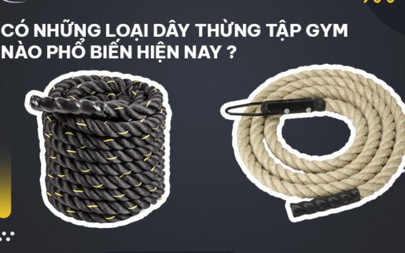 Có những loại dây thừng tập gym nào phổ biến hiện nay?