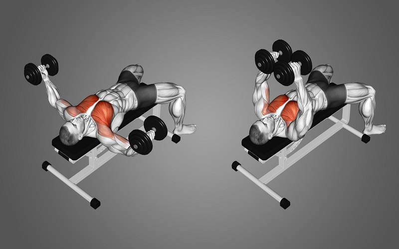 Dumbbell Bench Fly