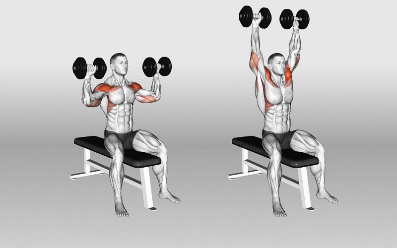 Dumbbell Shoulder Press