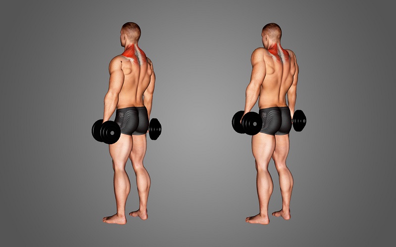 Dumbbell Shrugs