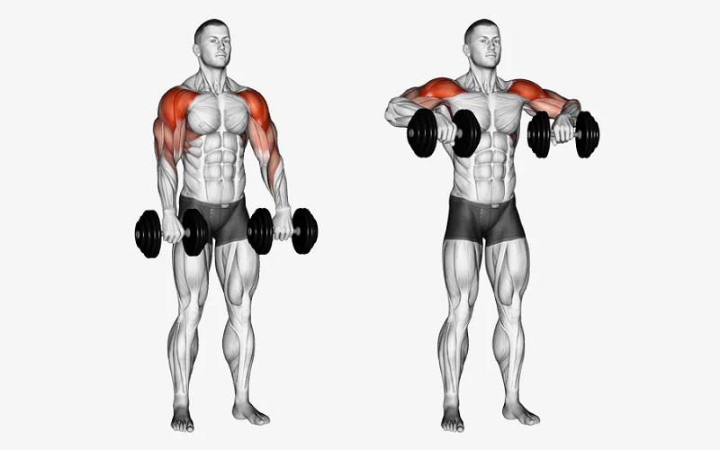 Dumbbell Upright Row