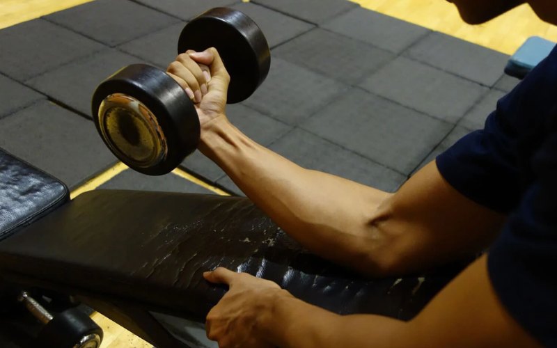 Tạ dumbbell tập luyện tại nhà