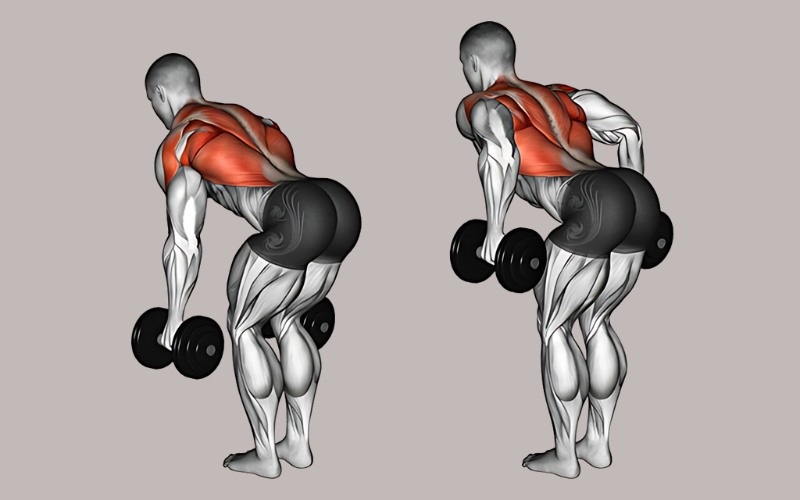 Bài tập Bent Over Two Dumbbell Row