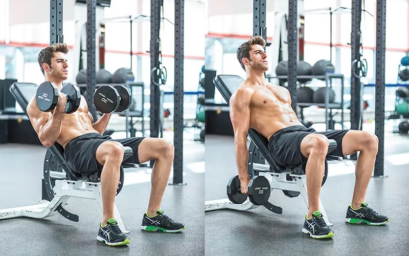 Incline Dumbbell Curl