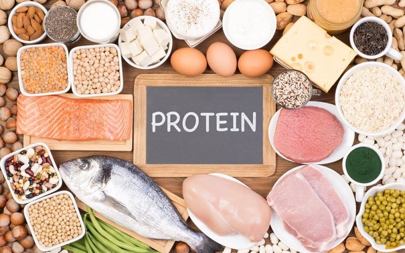 Nhóm Chất Đạm (Protein)