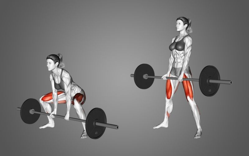 Các lợi ích của bài tập deadlift