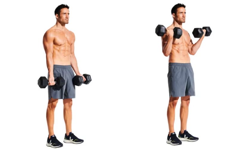 Dumbbell Bicep Curl