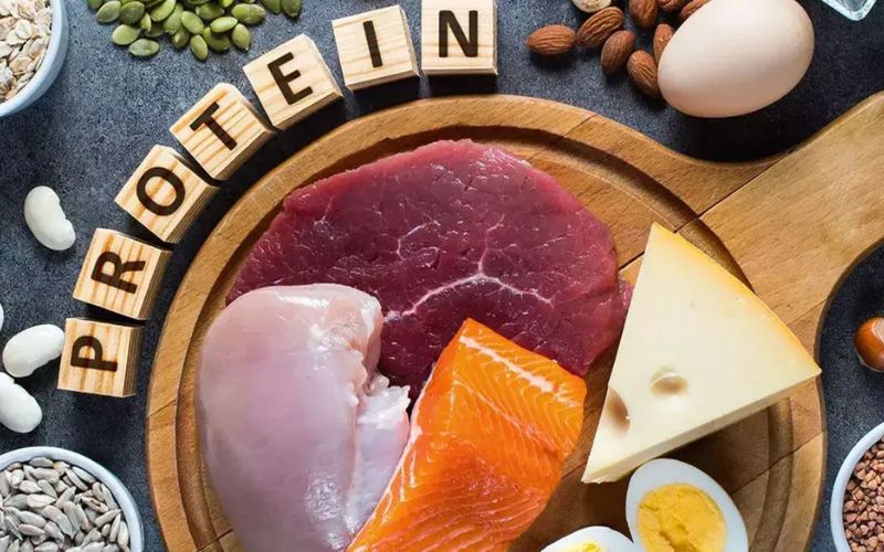 Thực phẩm giàu protein và chất béo