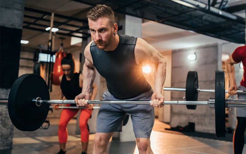 Các bài tập thay thế Seated Cable Row