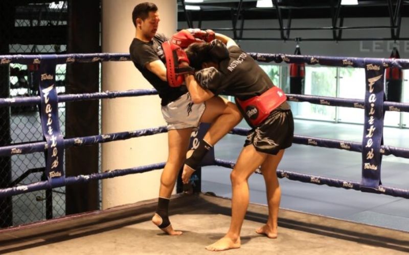 Kỹ thuật gối trong Muay Thái
