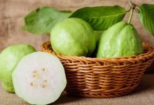 ổi bao nhiêu calo​