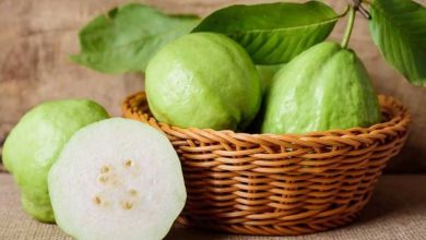 ổi bao nhiêu calo​