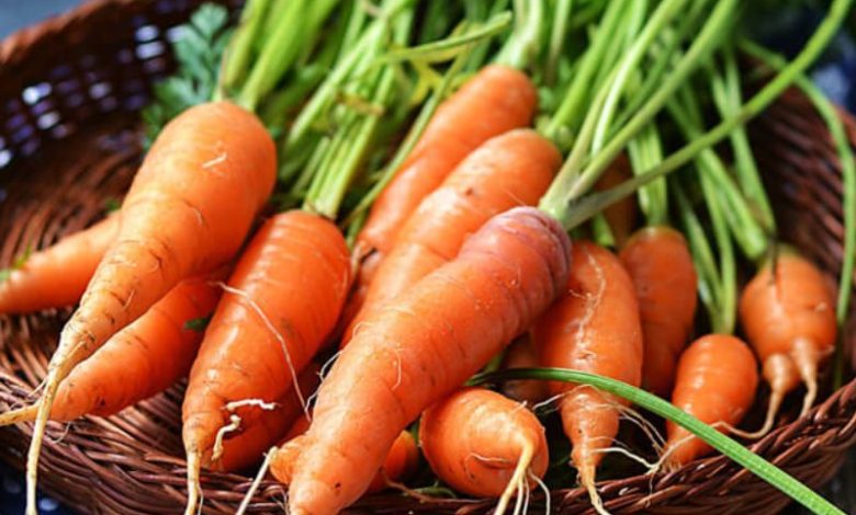 cà rốt bao nhiêu calo