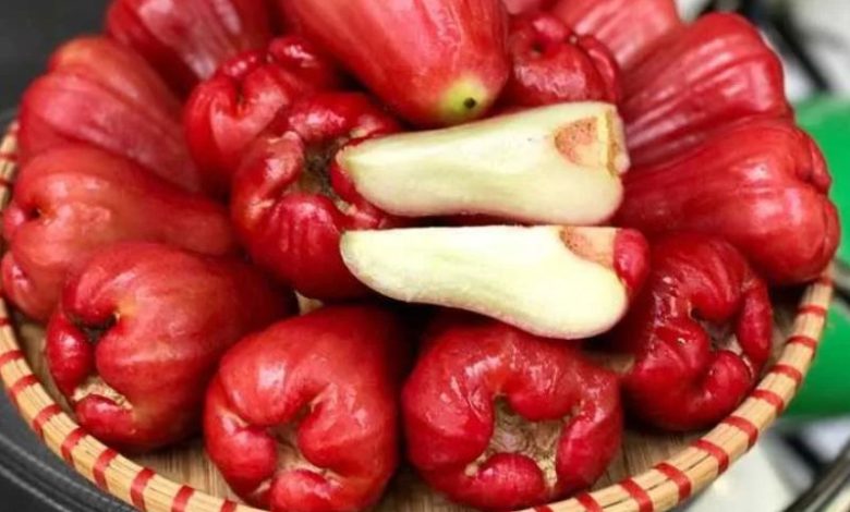 mận bao nhiêu calo