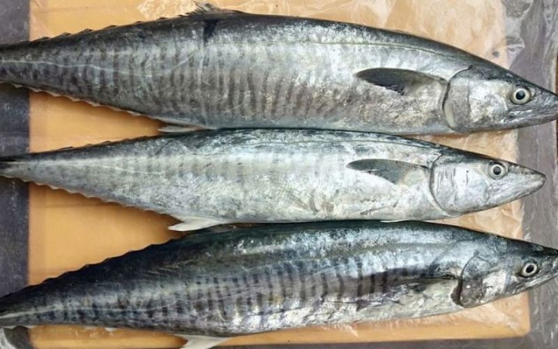 100 gram cá thu bao nhiêu calo?