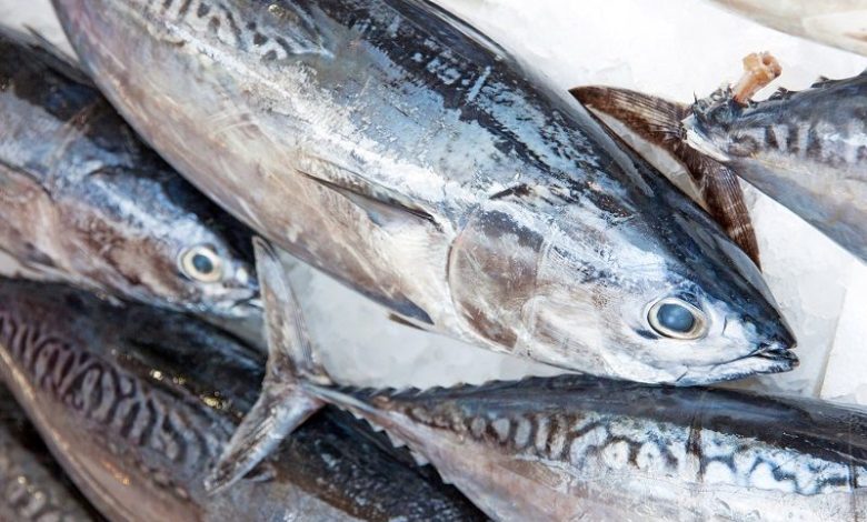 100g cá ngừ bao nhiêu calo