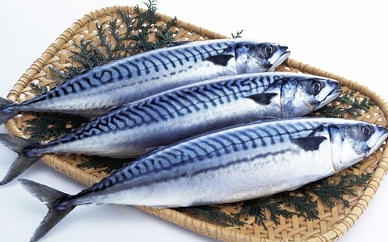 Ăn cá nục có tăng cân không?