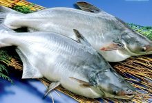 cá basa bao nhiêu calo​