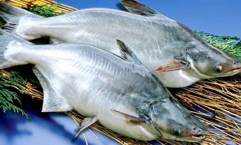 cá basa bao nhiêu calo​