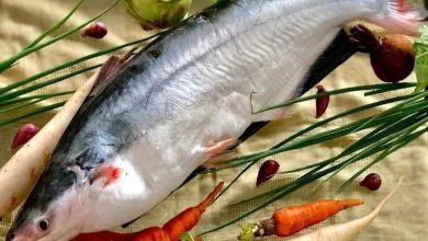 cá hú bao nhiêu calo