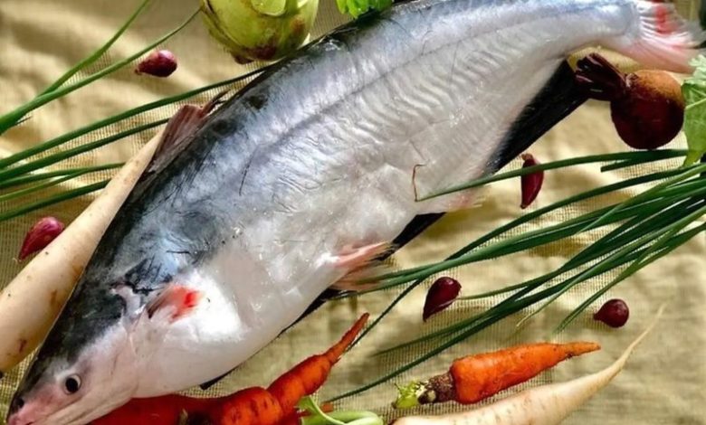 cá hú bao nhiêu calo