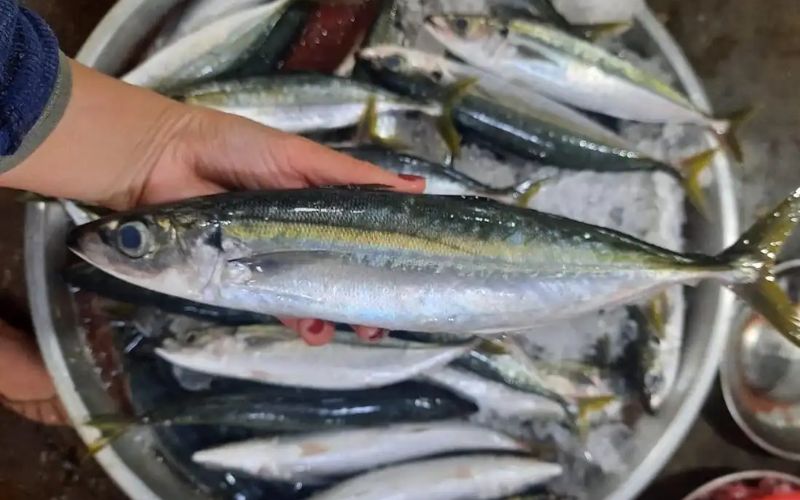 Cá nục bao nhiêu calo