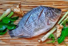 cá rô phi bao nhiêu calo