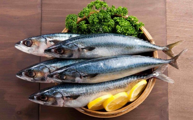 Lưu ý khi ăn cá thu để tốt cho sức khỏe