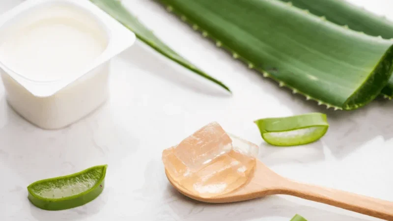 Sữa Chua Nha Đam Bao Nhiêu Calo? Ăn Có Béo Không?