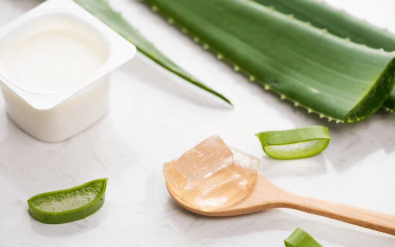 Sữa Chua Nha Đam Bao Nhiêu Calo? Ăn Có Béo Không?
