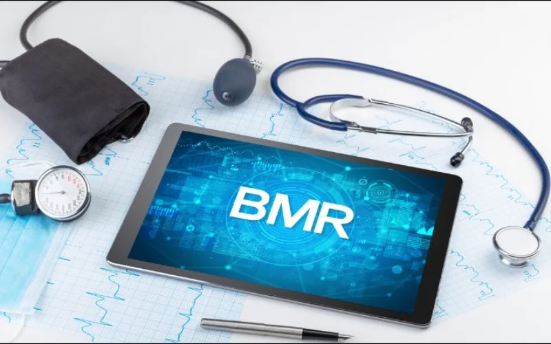 công cụ tính bmr trực tuyến